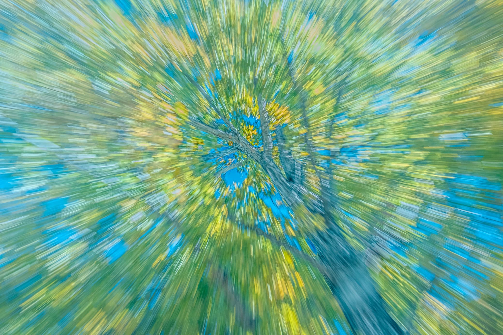Abstract bee image from abstract2 album